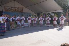 DSC03004-scaled